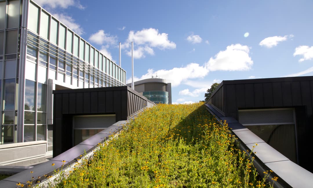 South Lake Regional Cancer Centre